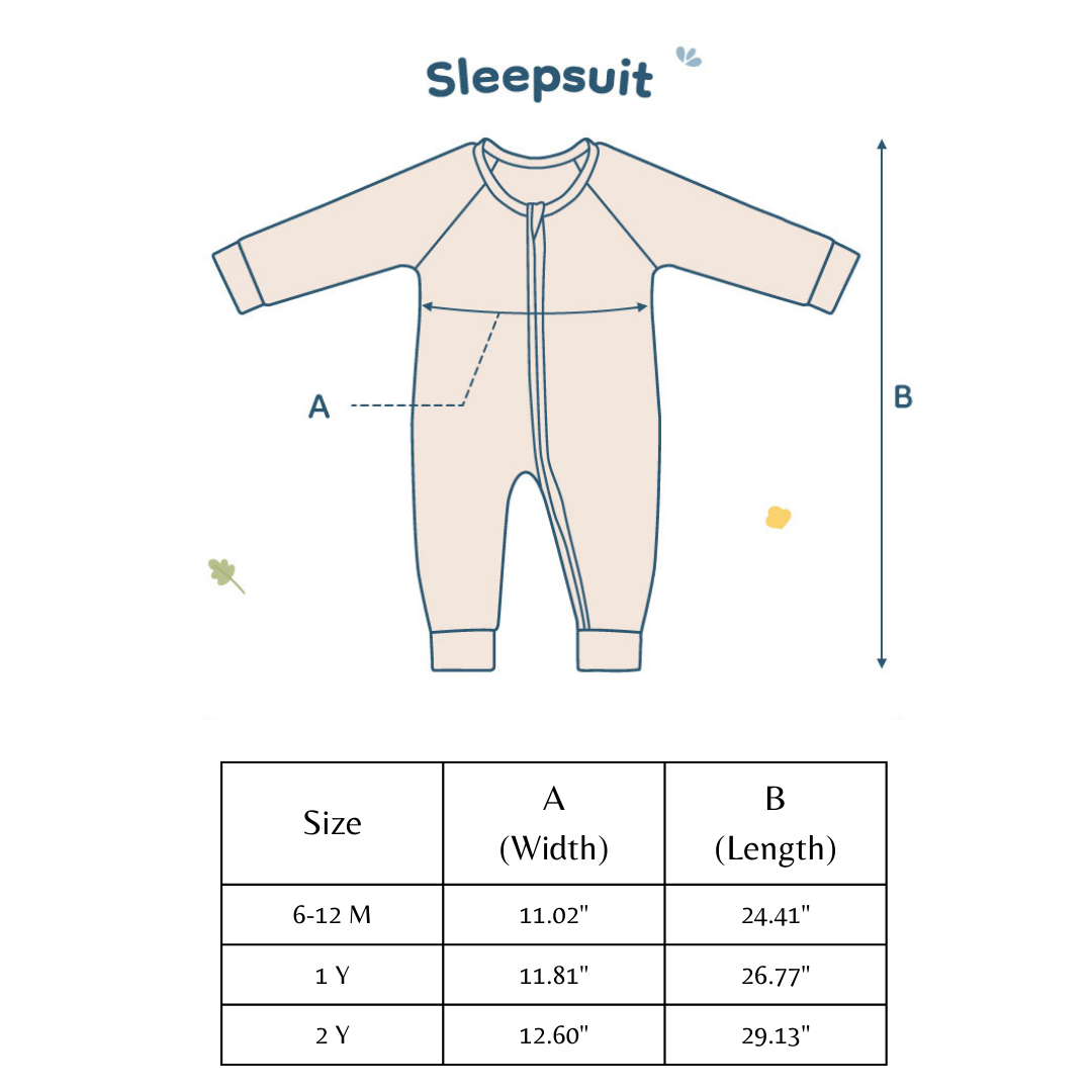 Play + Sleep (6-12M)